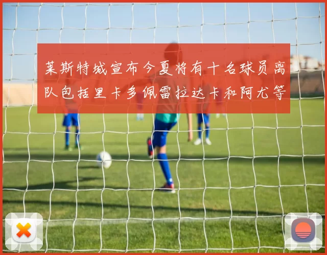 莱斯特城宣布今夏将有十名球员离队包括里卡多佩雷拉达卡和阿尤等人